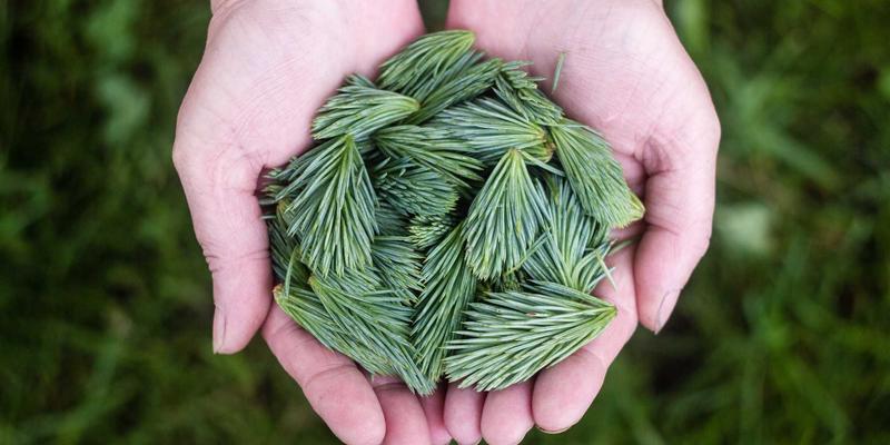 远程办公常见陷阱如何避免团队脱节